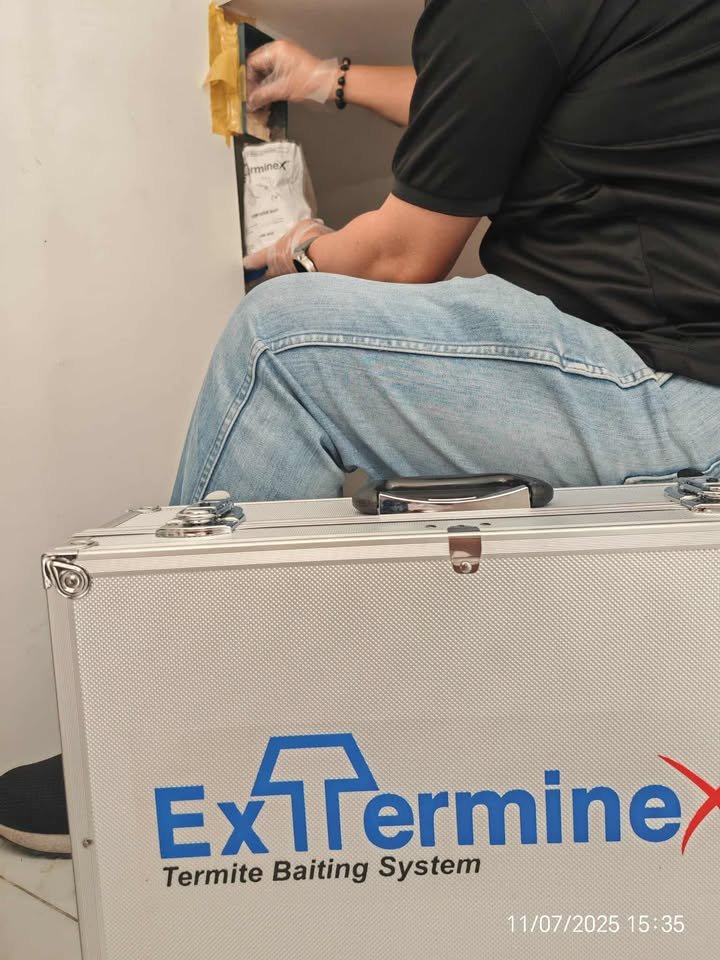 Termite Baiting System